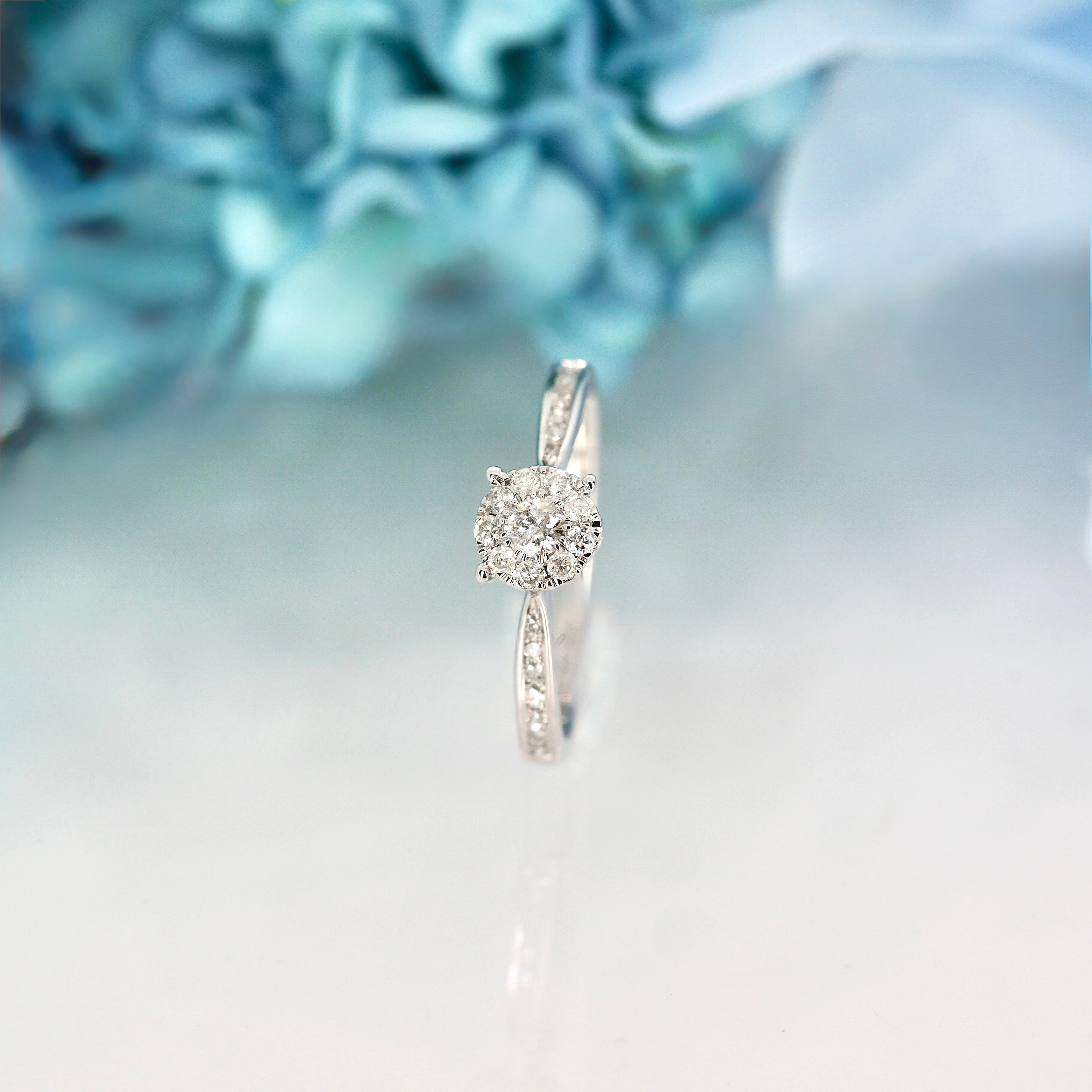 9ct White Gold 0.37ct Round Brilliant Cut Diamond Round Cluster Ring