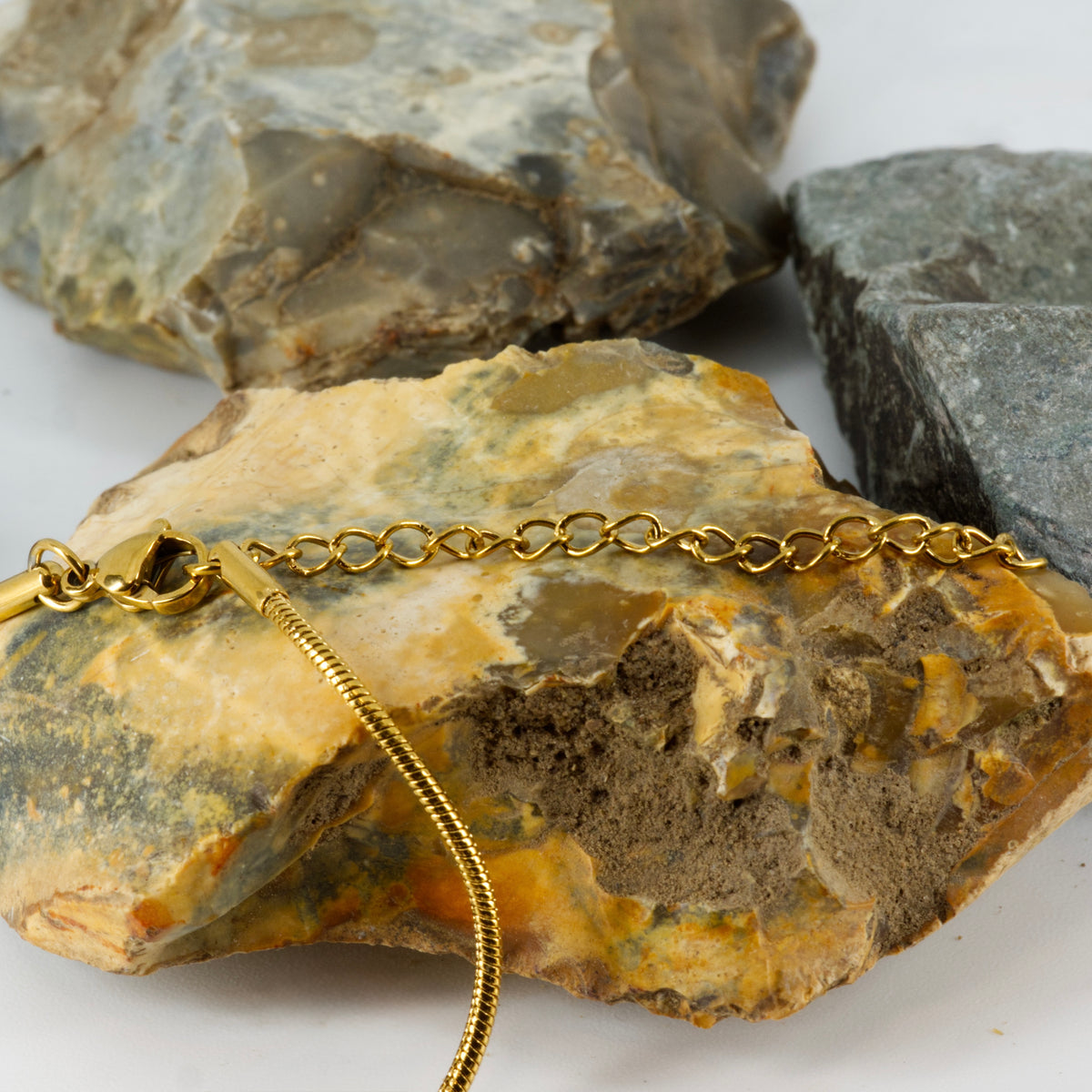 Gold PVD Plated Dog Tag Necklace